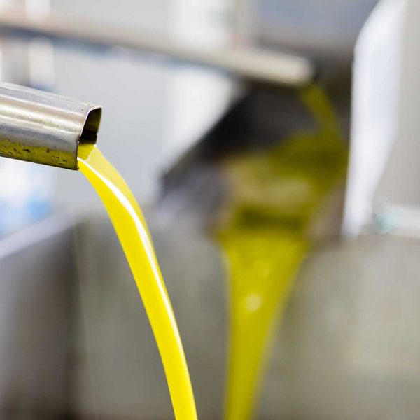 frantoio-olio-di-oliva-umbria